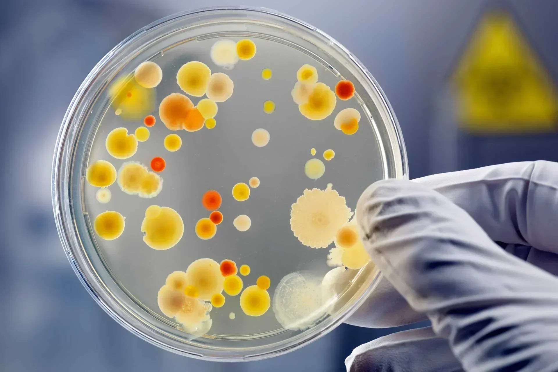 CID-10 • Capítulo XIX: Lesões, envenenamentos e algumas outras consequências de causas externas (S00–T98)
