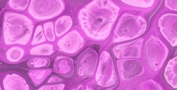 Por Que o Corpo Não Se Destrói? | O Segredo Celular que Rendeu o Nobel de Medicina 2025