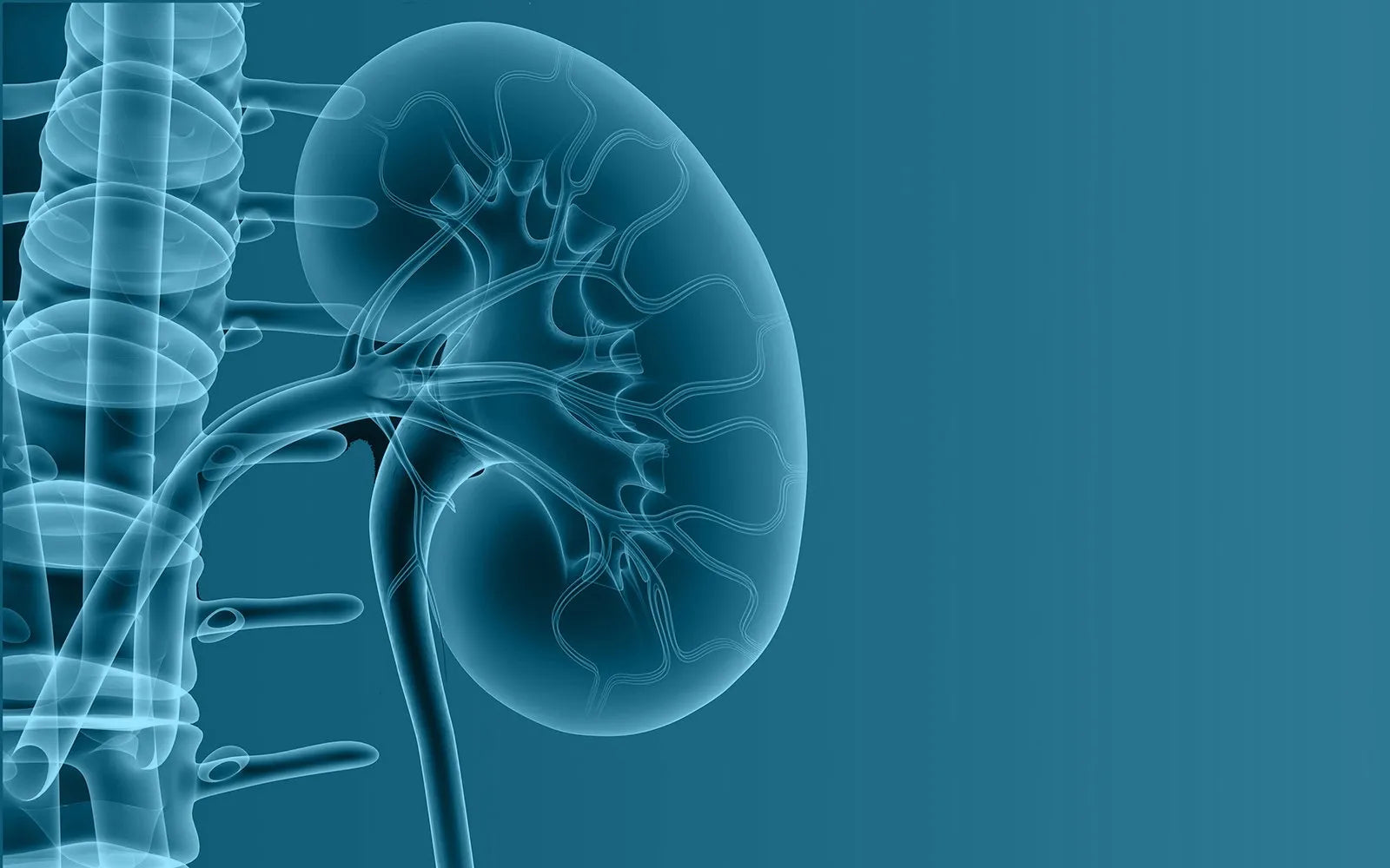 CID-10 • Capítulo XIV: Doenças do aparelho geniturinário (N00–N99)